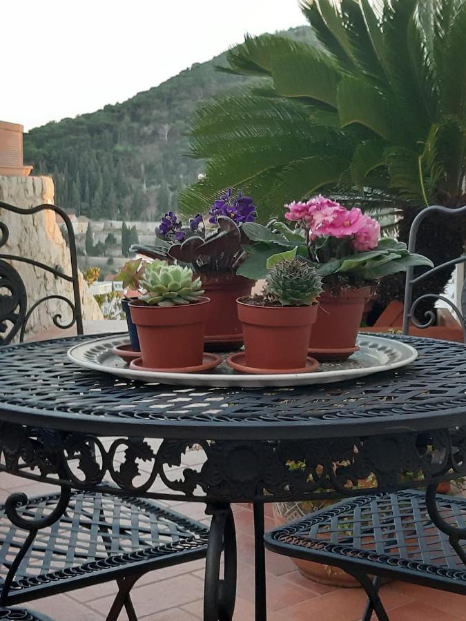 Luxury Sea View Dubrovník